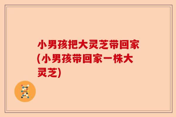 小男孩把大灵芝带回家(小男孩带回家一株大灵芝)-第1张图片-卓越灵芝孢子粉 小男孩把大灵芝带回家(小男孩带回家一株大灵芝)-第1张图片-卓越灵芝孢子粉