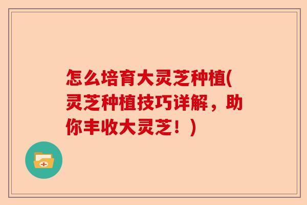 怎么培育大灵芝种植(灵芝种植技巧详解,助你丰收大灵芝!)-第1张图片-卓越灵芝孢子粉 怎么培育大灵芝种植(灵芝种植技巧详解,助你丰收大灵芝!)-第1张图片-卓越灵芝孢子粉