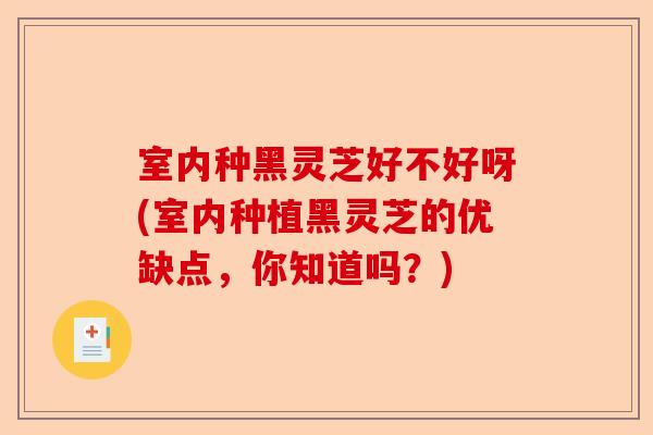 室内种黑灵芝好不好呀(室内种植黑灵芝的优缺点,你知道吗?)-第1张图片-卓越灵芝孢子粉 室内种黑灵芝好不好呀(室内种植黑灵芝的优缺点,你知道吗?)-第1张图片-卓越灵芝孢子粉