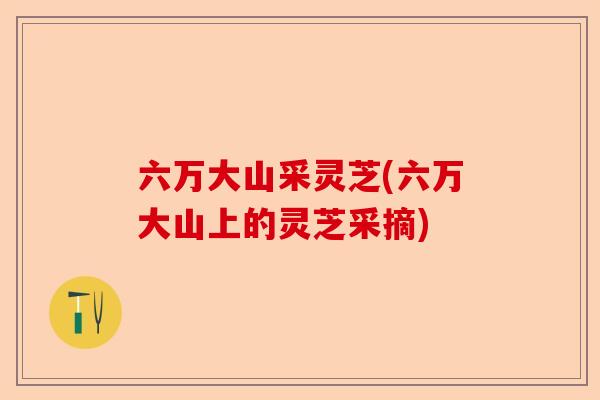 六万大山采灵芝(六万大山上的灵芝采摘)-第1张图片-卓越灵芝孢子粉 六万大山采灵芝(六万大山上的灵芝采摘)-第1张图片-卓越灵芝孢子粉