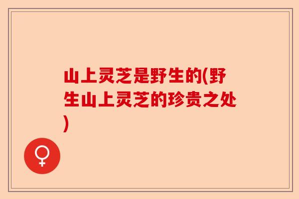 山上灵芝是野生的(野生山上灵芝的珍贵之处)-第1张图片-卓越灵芝孢子粉 山上灵芝是野生的(野生山上灵芝的珍贵之处)-第1张图片-卓越灵芝孢子粉