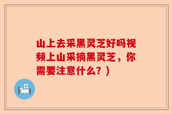 山上去采黑灵芝好吗视频上山采摘黑灵芝,你需要注意什么?)-第1张图片-卓越灵芝孢子粉 山上去采黑灵芝好吗视频上山采摘黑灵芝,你需要注意什么?)-第1张图片-卓越灵芝孢子粉