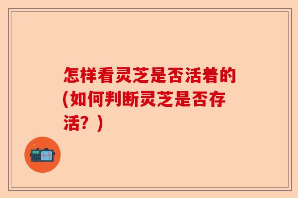 怎样看灵芝是否活着的(如何判断灵芝是否存活？)-第1张图片-卓越灵芝孢子粉