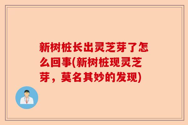 新树桩长出灵芝芽了怎么回事(新树桩现灵芝芽,莫名其妙的发现)-第1张图片-卓越灵芝孢子粉 新树桩长出灵芝芽了怎么回事(新树桩现灵芝芽,莫名其妙的发现)-第1张图片-卓越灵芝孢子粉