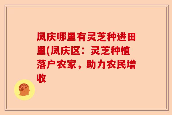凤庆哪里有灵芝种进田里(凤庆区:灵芝种植落户农家,助力农民增收-第1张图片-卓越灵芝孢子粉 凤庆哪里有灵芝种进田里(凤庆区:灵芝种植落户农家,助力农民增收-第1张图片-卓越灵芝孢子粉