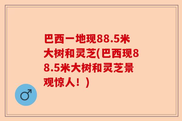 巴西一地现88.5米大树和灵芝(巴西现88.5米大树和灵芝景观惊人！)-第1张图片-卓越灵芝孢子粉
