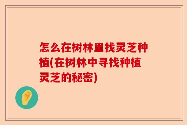 怎么在树林里找灵芝种植(在树林中寻找种植灵芝的秘密)-第1张图片-卓越灵芝孢子粉 怎么在树林里找灵芝种植(在树林中寻找种植灵芝的秘密)-第1张图片-卓越灵芝孢子粉