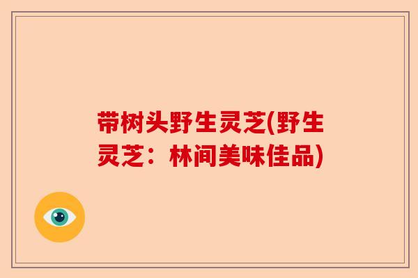 带树头野生灵芝(野生灵芝:林间美味佳品)-第1张图片-卓越灵芝孢子粉 带树头野生灵芝(野生灵芝:林间美味佳品)-第1张图片-卓越灵芝孢子粉