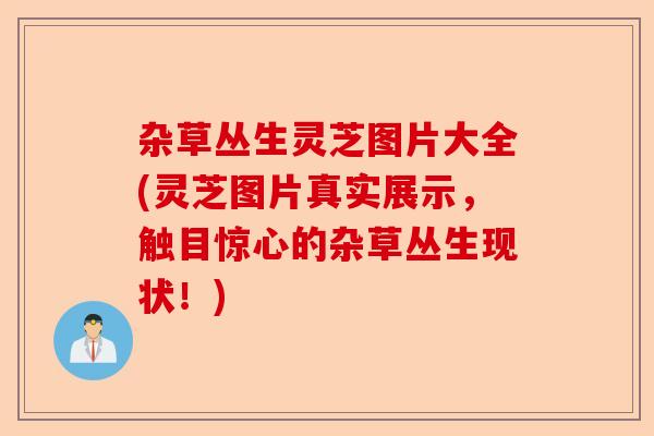 杂草丛生灵芝图片大全(灵芝图片真实展示,触目惊心的杂草丛生现状!)-第1张图片-卓越灵芝孢子粉 杂草丛生灵芝图片大全(灵芝图片真实展示,触目惊心的杂草丛生现状!)-第1张图片-卓越灵芝孢子粉