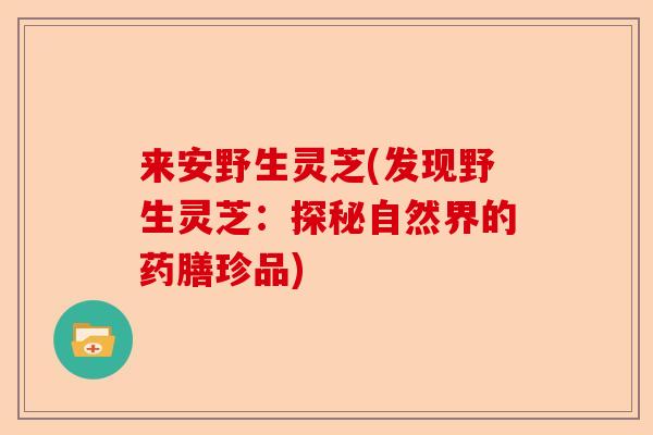 来安野生灵芝(发现野生灵芝：探秘自然界的药膳珍品)-第1张图片-卓越灵芝孢子粉