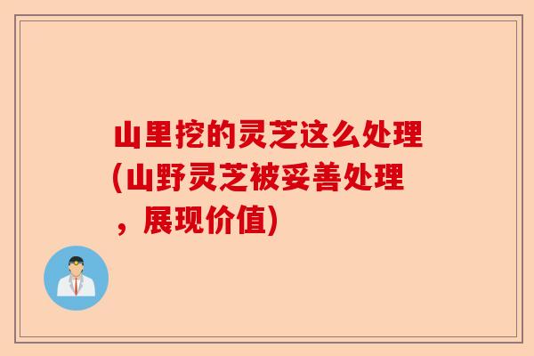 山里挖的灵芝这么处理(山野灵芝被妥善处理,展现价值)-第1张图片-卓越灵芝孢子粉 山里挖的灵芝这么处理(山野灵芝被妥善处理,展现价值)-第1张图片-卓越灵芝孢子粉