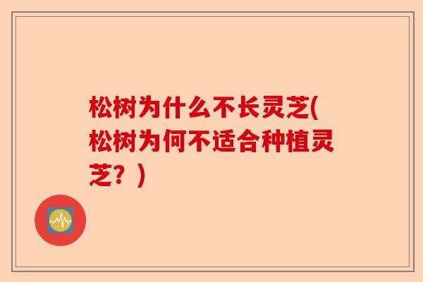 松树为什么不长灵芝(松树为何不适合种植灵芝?)-第1张图片-卓越灵芝孢子粉 松树为什么不长灵芝(松树为何不适合种植灵芝?)-第1张图片-卓越灵芝孢子粉