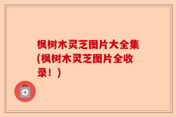 枫树木灵芝图片大全集(枫树木灵芝图片全收录！)-第1张图片-卓越灵芝孢子粉