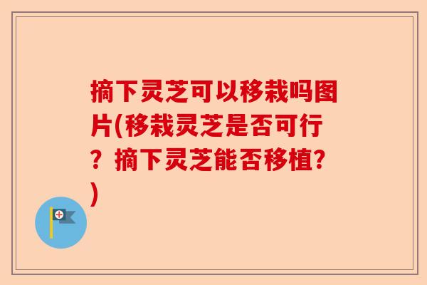 摘下灵芝可以移栽吗图片(移栽灵芝是否可行？摘下灵芝能否移植？)-第1张图片-卓越灵芝孢子粉
