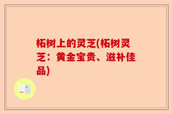 柘树上的灵芝(柘树灵芝:黄金宝贵、滋补佳品)-第1张图片-卓越灵芝孢子粉 柘树上的灵芝(柘树灵芝:黄金宝贵、滋补佳品)-第1张图片-卓越灵芝孢子粉