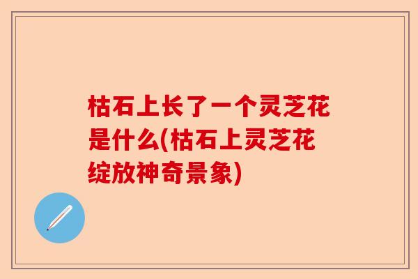 枯石上长了一个灵芝花是什么(枯石上灵芝花绽放神奇景象)-第1张图片-卓越灵芝孢子粉 枯石上长了一个灵芝花是什么(枯石上灵芝花绽放神奇景象)-第1张图片-卓越灵芝孢子粉