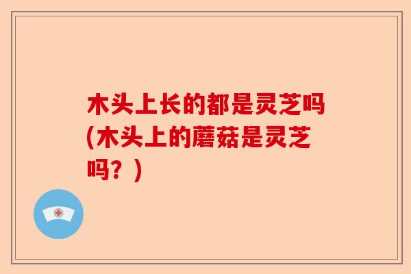 木头上长的都是灵芝吗(木头上的蘑菇是灵芝吗?)-第1张图片-卓越灵芝孢子粉 木头上长的都是灵芝吗(木头上的蘑菇是灵芝吗?)-第1张图片-卓越灵芝孢子粉