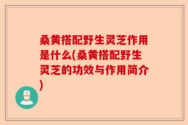 桑黄搭配野生灵芝作用是什么(桑黄搭配野生灵芝的功效与作用简介)-第1张图片-卓越灵芝孢子粉 桑黄搭配野生灵芝作用是什么(桑黄搭配野生灵芝的功效与作用简介)-第1张图片-卓越灵芝孢子粉