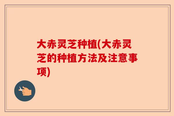 大赤灵芝种植(大赤灵芝的种植方法及注意事项)-第1张图片-卓越灵芝孢子粉 大赤灵芝种植(大赤灵芝的种植方法及注意事项)-第1张图片-卓越灵芝孢子粉