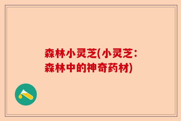 森林小灵芝(小灵芝:森林中的神奇药材)-第1张图片-卓越灵芝孢子粉 森林小灵芝(小灵芝:森林中的神奇药材)-第1张图片-卓越灵芝孢子粉