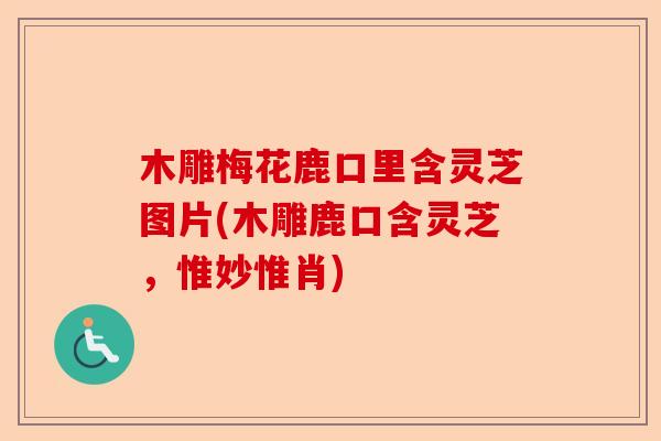 木雕梅花鹿口里含灵芝图片(木雕鹿口含灵芝，惟妙惟肖)-第1张图片-卓越灵芝孢子粉
