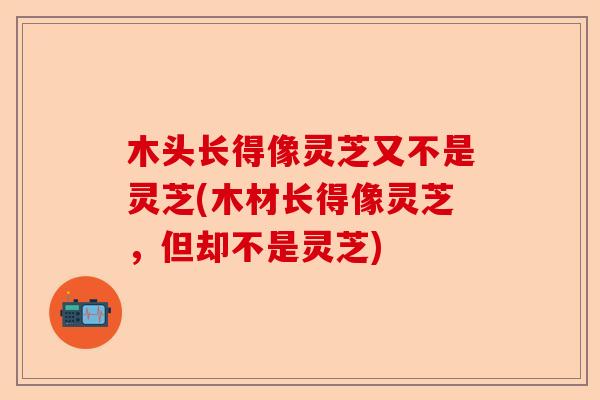 木头长得像灵芝又不是灵芝(木材长得像灵芝，但却不是灵芝)-第1张图片-卓越灵芝孢子粉
