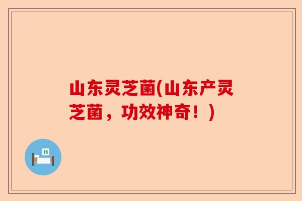山东灵芝菌(山东产灵芝菌,功效神奇!)-第1张图片-卓越灵芝孢子粉 山东灵芝菌(山东产灵芝菌,功效神奇!)-第1张图片-卓越灵芝孢子粉
