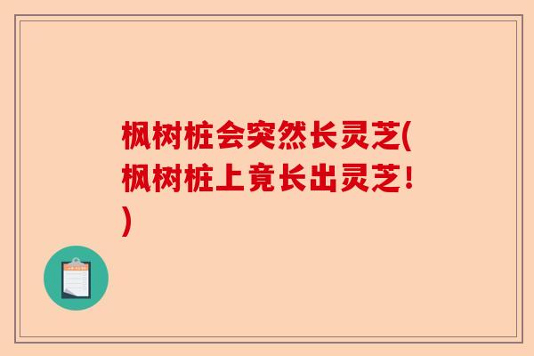 枫树桩会突然长灵芝(枫树桩上竟长出灵芝！)-第1张图片-卓越灵芝孢子粉