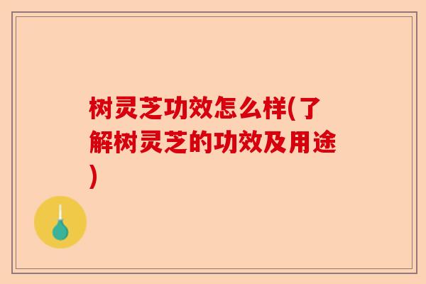 树灵芝功效怎么样(了解树灵芝的功效及用途)-第1张图片-卓越灵芝孢子粉 树灵芝功效怎么样(了解树灵芝的功效及用途)-第1张图片-卓越灵芝孢子粉