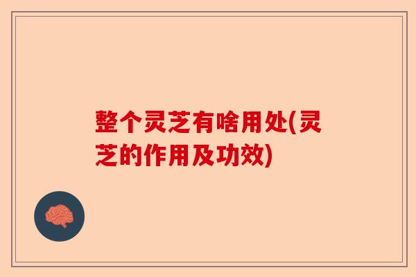 整个灵芝有啥用处(灵芝的作用及功效)-第1张图片-卓越灵芝孢子粉 整个灵芝有啥用处(灵芝的作用及功效)-第1张图片-卓越灵芝孢子粉