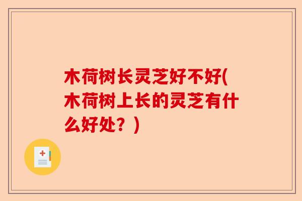 木荷树长灵芝好不好(木荷树上长的灵芝有什么好处?)-第1张图片-卓越灵芝孢子粉 木荷树长灵芝好不好(木荷树上长的灵芝有什么好处?)-第1张图片-卓越灵芝孢子粉