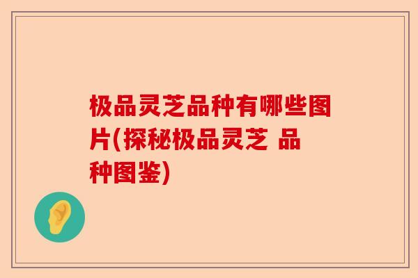 极品灵芝品种有哪些图片(探秘极品灵芝 品种图鉴)-第1张图片-卓越灵芝孢子粉 极品灵芝品种有哪些图片(探秘极品灵芝 品种图鉴)-第1张图片-卓越灵芝孢子粉