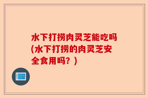 水下打捞肉灵芝能吃吗(水下打捞的肉灵芝安全食用吗?)-第1张图片-卓越灵芝孢子粉 水下打捞肉灵芝能吃吗(水下打捞的肉灵芝安全食用吗?)-第1张图片-卓越灵芝孢子粉