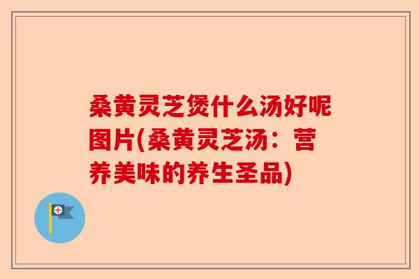 桑黄灵芝煲什么汤好呢图片(桑黄灵芝汤:营养美味的养生圣品)-第1张图片-卓越灵芝孢子粉 桑黄灵芝煲什么汤好呢图片(桑黄灵芝汤:营养美味的养生圣品)-第1张图片-卓越灵芝孢子粉
