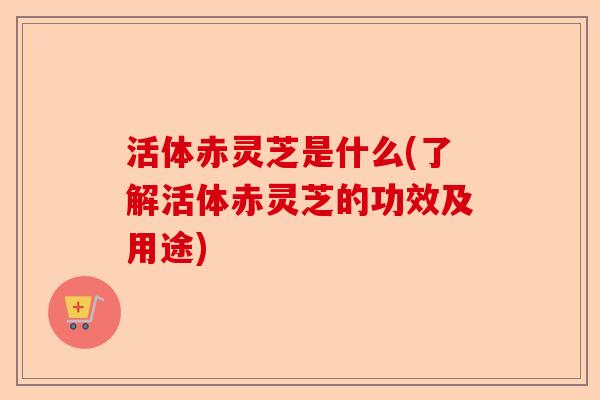 活体赤灵芝是什么(了解活体赤灵芝的功效及用途)-第1张图片-卓越灵芝孢子粉 活体赤灵芝是什么(了解活体赤灵芝的功效及用途)-第1张图片-卓越灵芝孢子粉