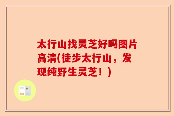 太行山找灵芝好吗图片高清(徒步太行山，发现纯野生灵芝！)-第1张图片-卓越灵芝孢子粉