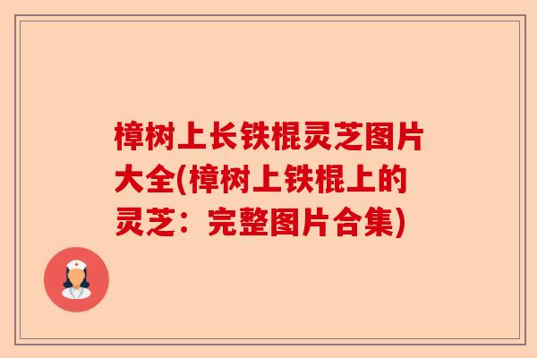 樟树上长铁棍灵芝图片大全(樟树上铁棍上的灵芝：完整图片合集)-第1张图片-卓越灵芝孢子粉