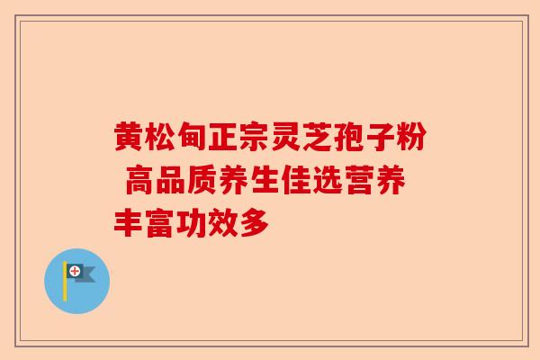 黄松甸正宗灵芝孢子粉 高品质养生佳选营养丰富功效多-第1张图片-卓越灵芝孢子粉 黄松甸正宗灵芝孢子粉 高品质养生佳选营养丰富功效多-第1张图片-卓越灵芝孢子粉