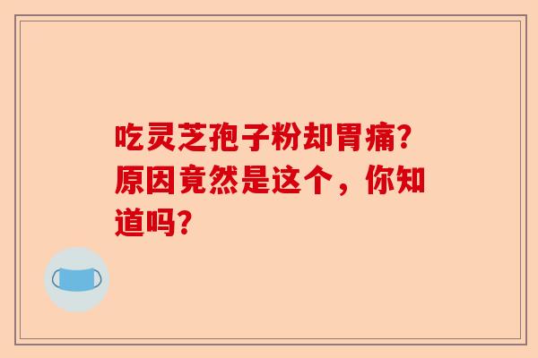 吃灵芝孢子粉却胃痛？原因竟然是这个，你知道吗？-第1张图片-卓越灵芝孢子粉