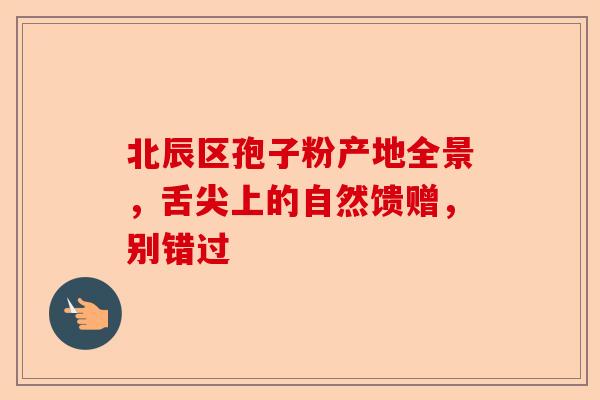 北辰区孢子粉产地全景，舌尖上的自然馈赠，别错过-第1张图片-卓越灵芝孢子粉