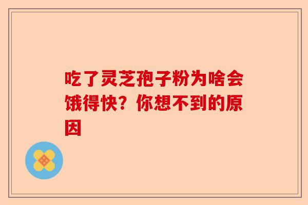 吃了灵芝孢子粉为啥会饿得快？你想不到的原因-第1张图片-卓越灵芝孢子粉
