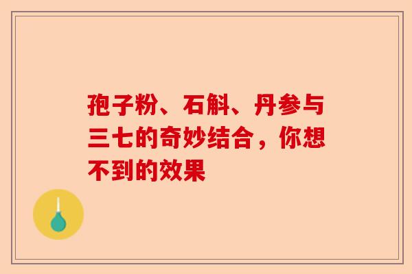 孢子粉、石斛、丹参与三七的奇妙结合,你想不到的效果-第1张图片-卓越灵芝孢子粉 孢子粉、石斛、丹参与三七的奇妙结合,你想不到的效果-第1张图片-卓越灵芝孢子粉