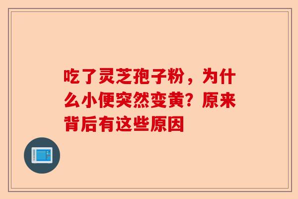 吃了灵芝孢子粉，为什么小便突然变黄？原来背后有这些原因-第1张图片-卓越灵芝孢子粉