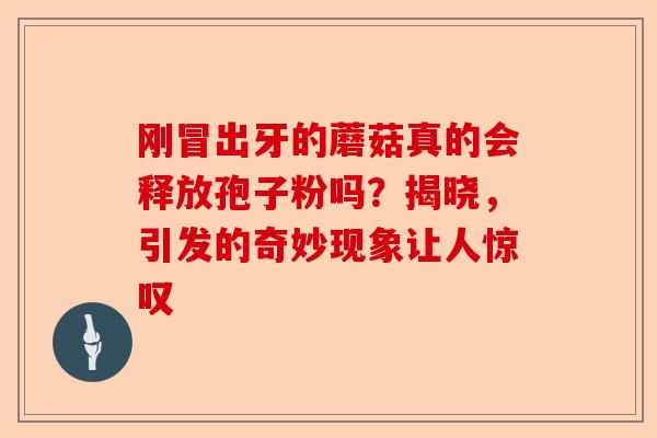 刚冒出牙的蘑菇真的会释放孢子粉吗？揭晓，引发的奇妙现象让人惊叹-第1张图片-卓越灵芝孢子粉